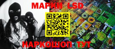 ПСИЛОЦИБИНОВЫЕ ГРИБЫ Можга
