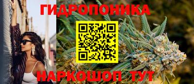 jwh Моздок