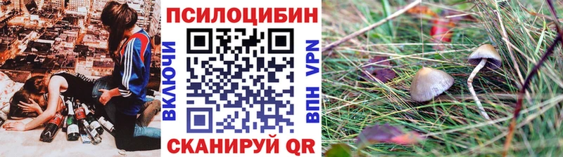 omg ONION купить наркотики цена Верхняя Салда Псилоцибиновые грибы Cubensis