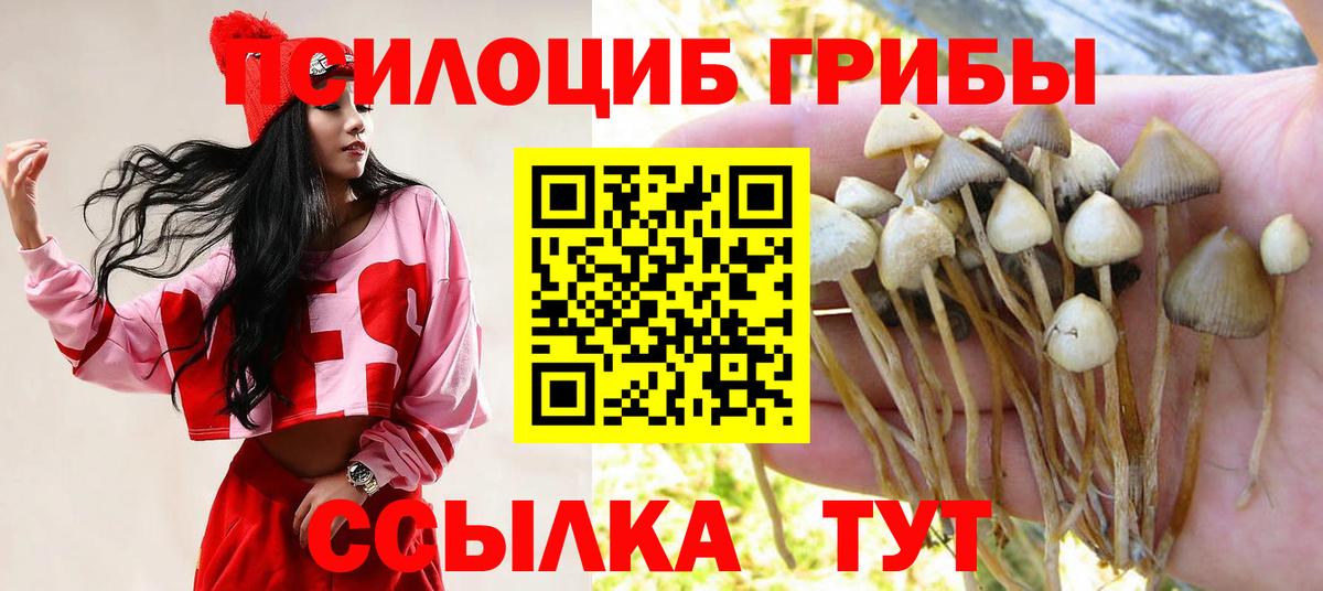 Галлюциногенные грибы Cubensis Верхняя Салда